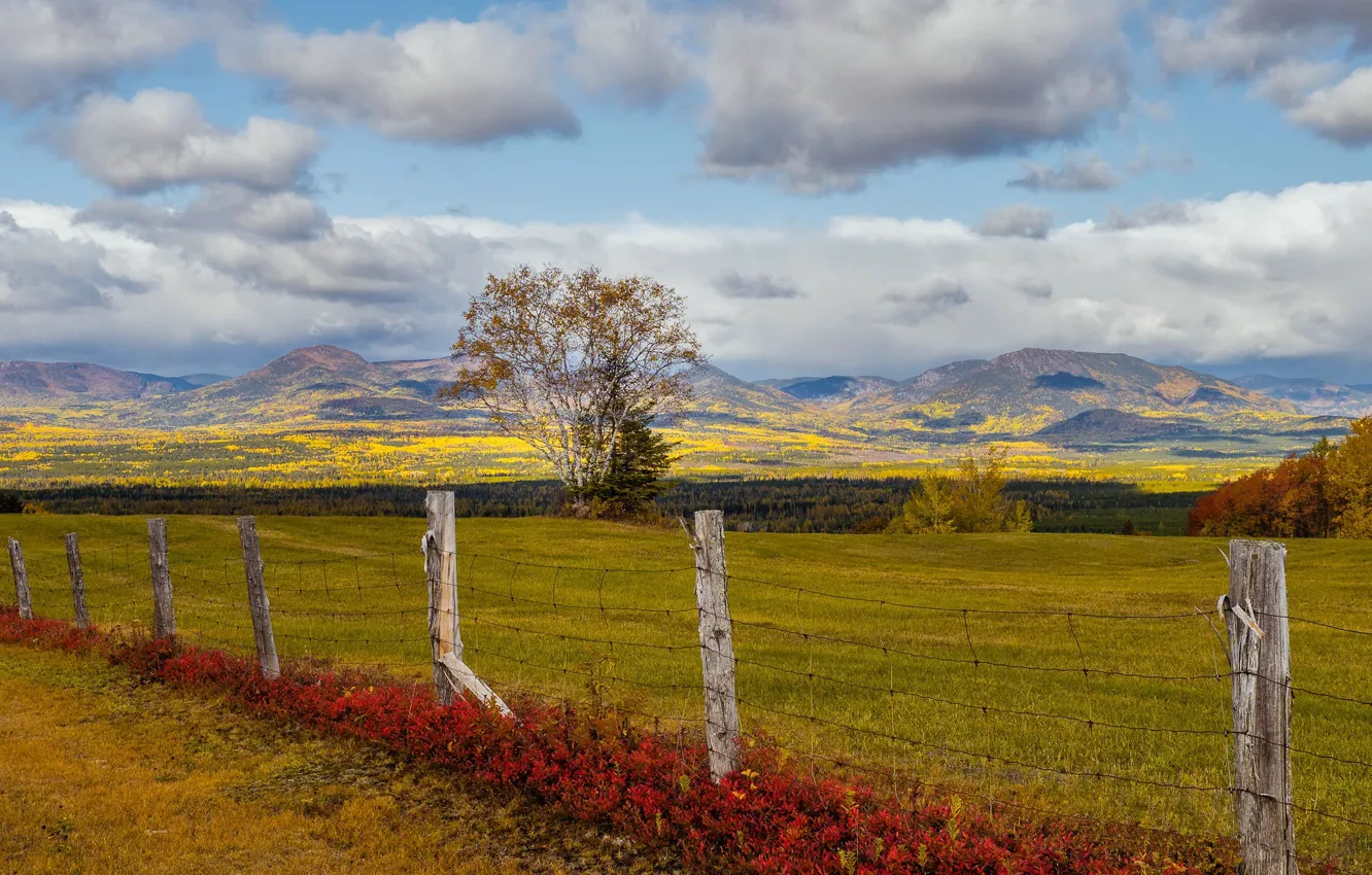 Фото обои осень, забор, Canada, Quebec, Notre-Dame-des-Monts