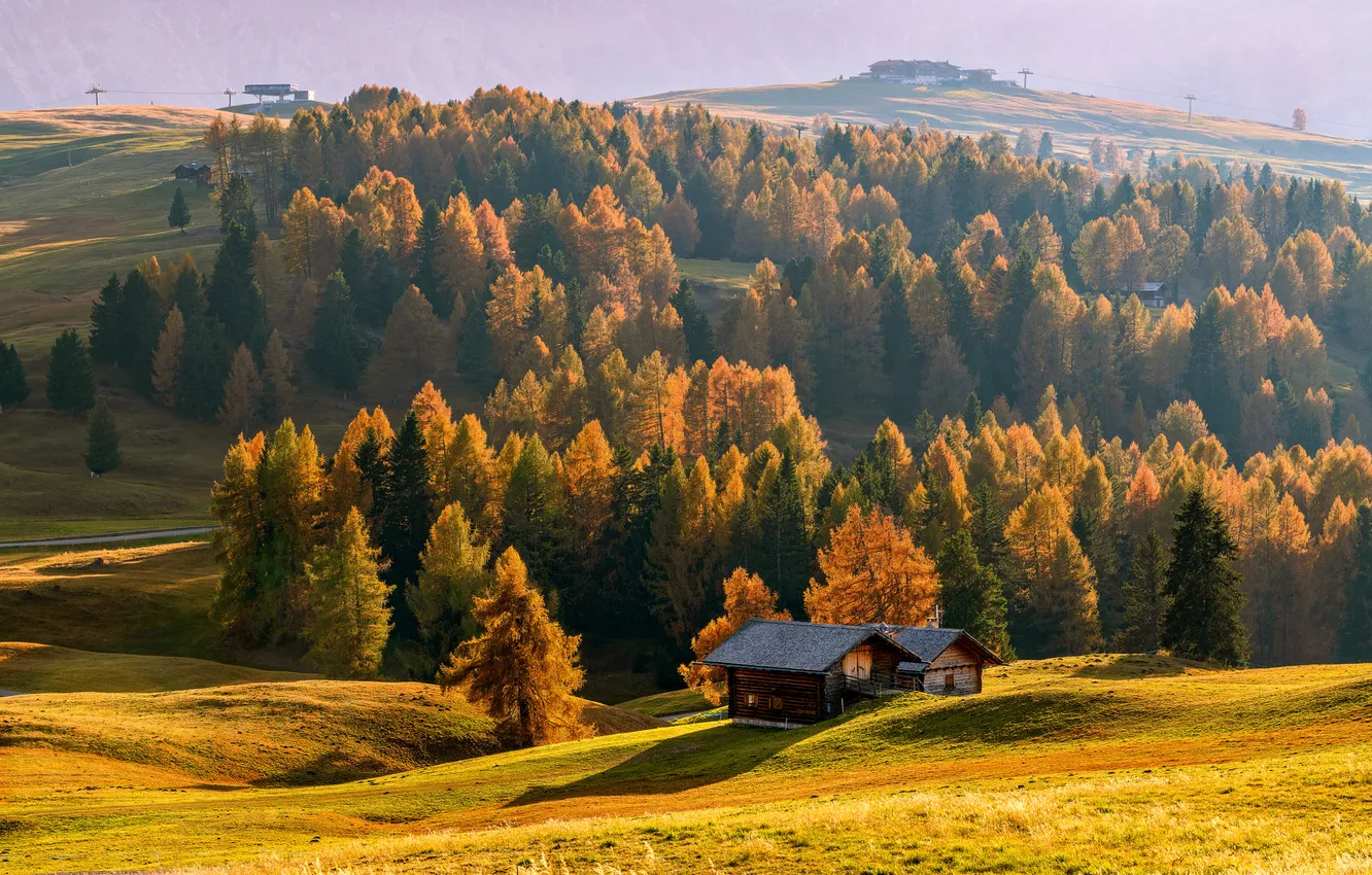 Фото обои поле, осень, лес, свет, деревья, горы, природа, холмы