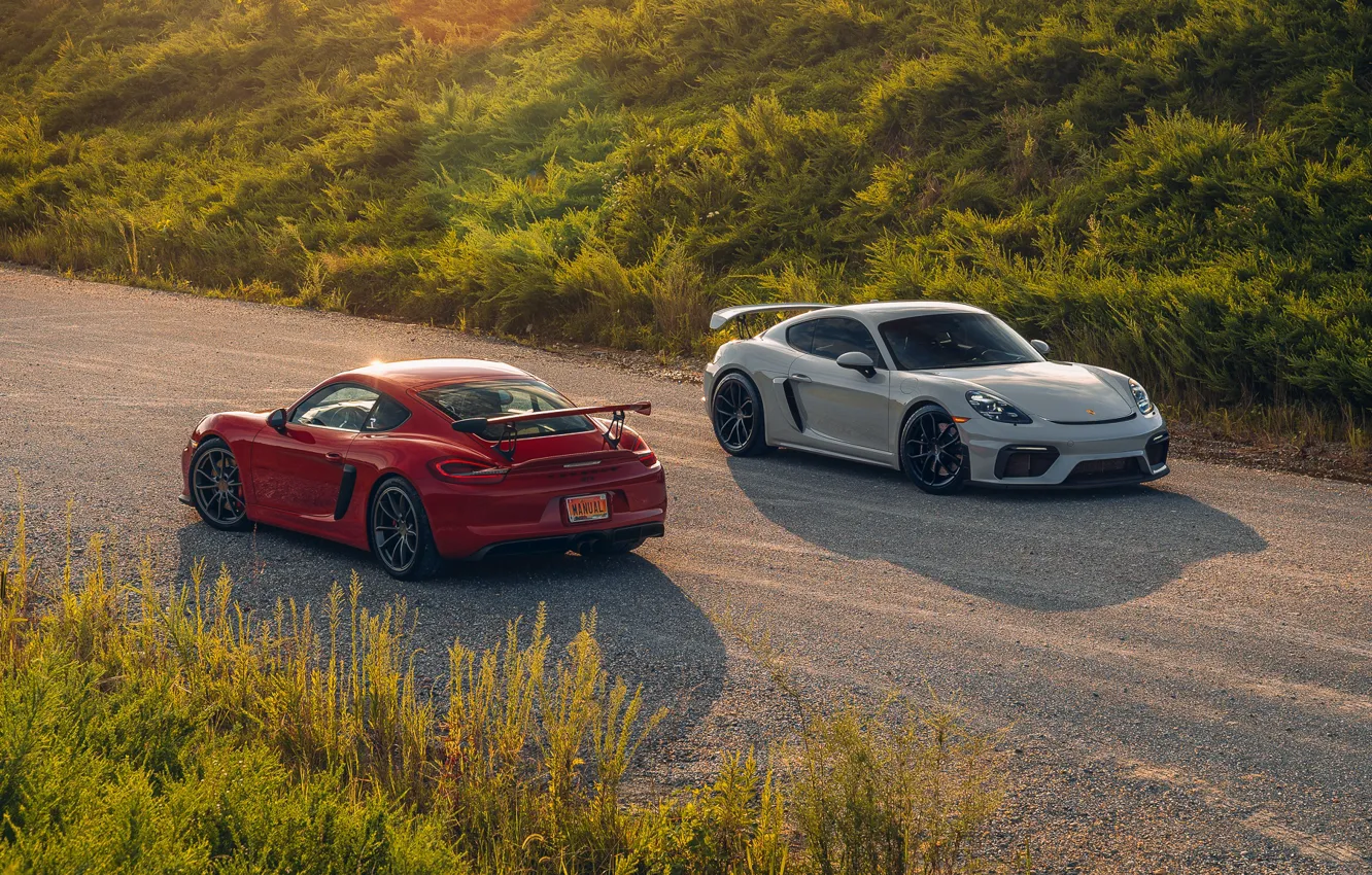 Фото обои car, Porsche, road, field, sunlight, GT4, headlights, Taillights