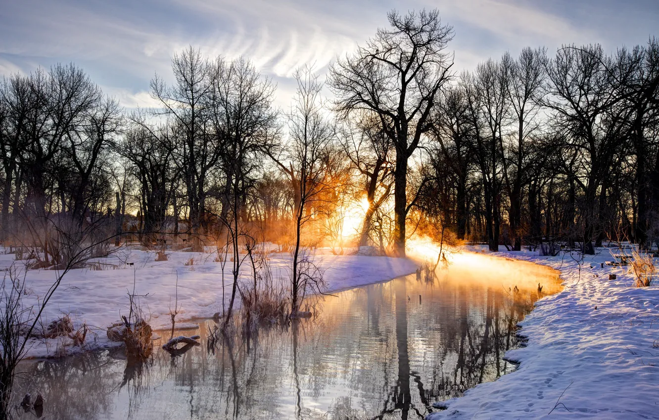 Фото обои Солнце, Природа, Отражение, Деревья, Река, Снег, Ветки, Следы на Снегу