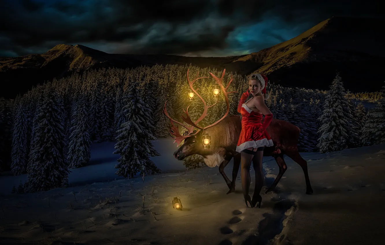 Фото обои девушка, олень, Winter Wonderland