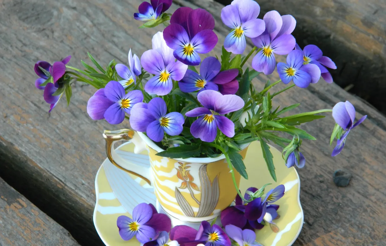 Фото обои цветы, чашка, анютины глазки, букетик