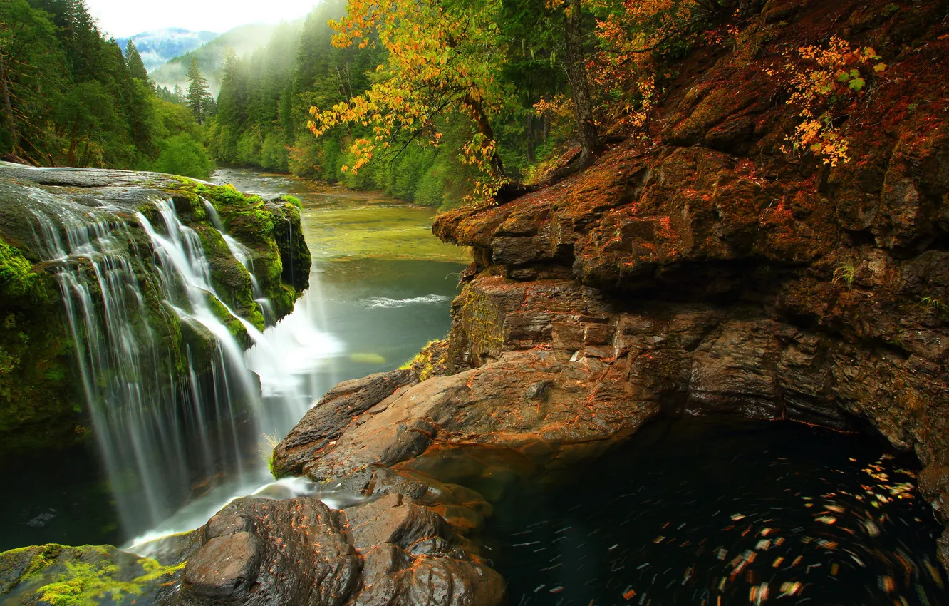 Фото обои лес, природа, река, камни, фото, водопад, Вашингтон, США