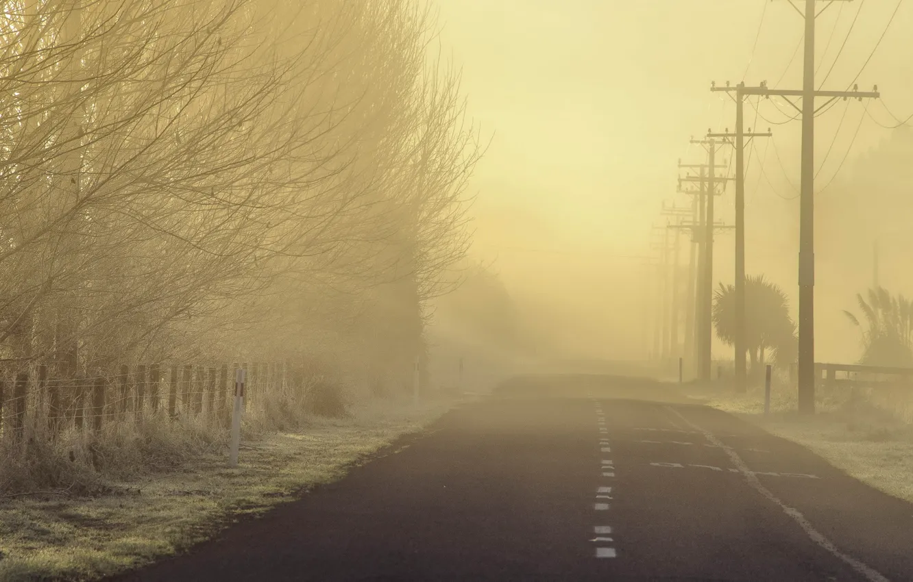 Фото обои дорога, пейзаж, туман, утро