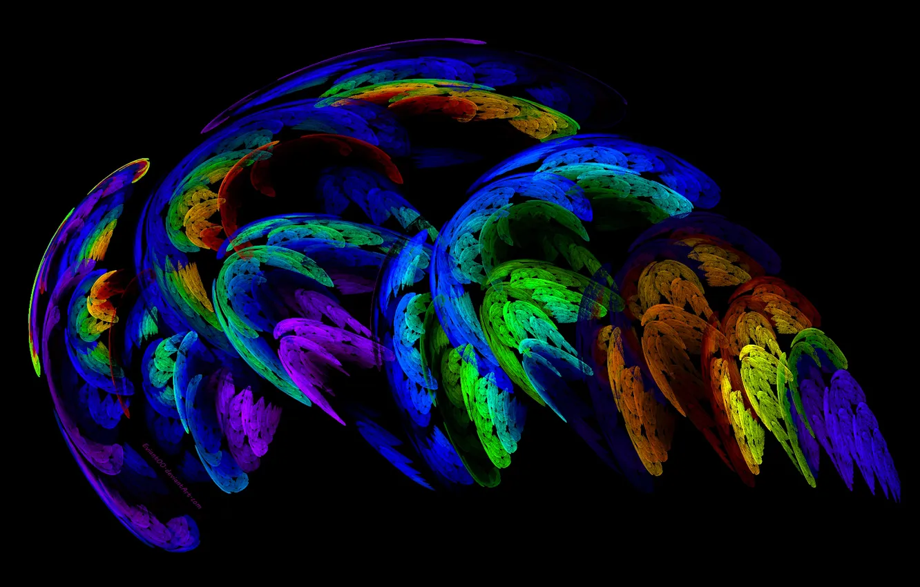Фото обои свет, дым, цвет, перья, полумрак