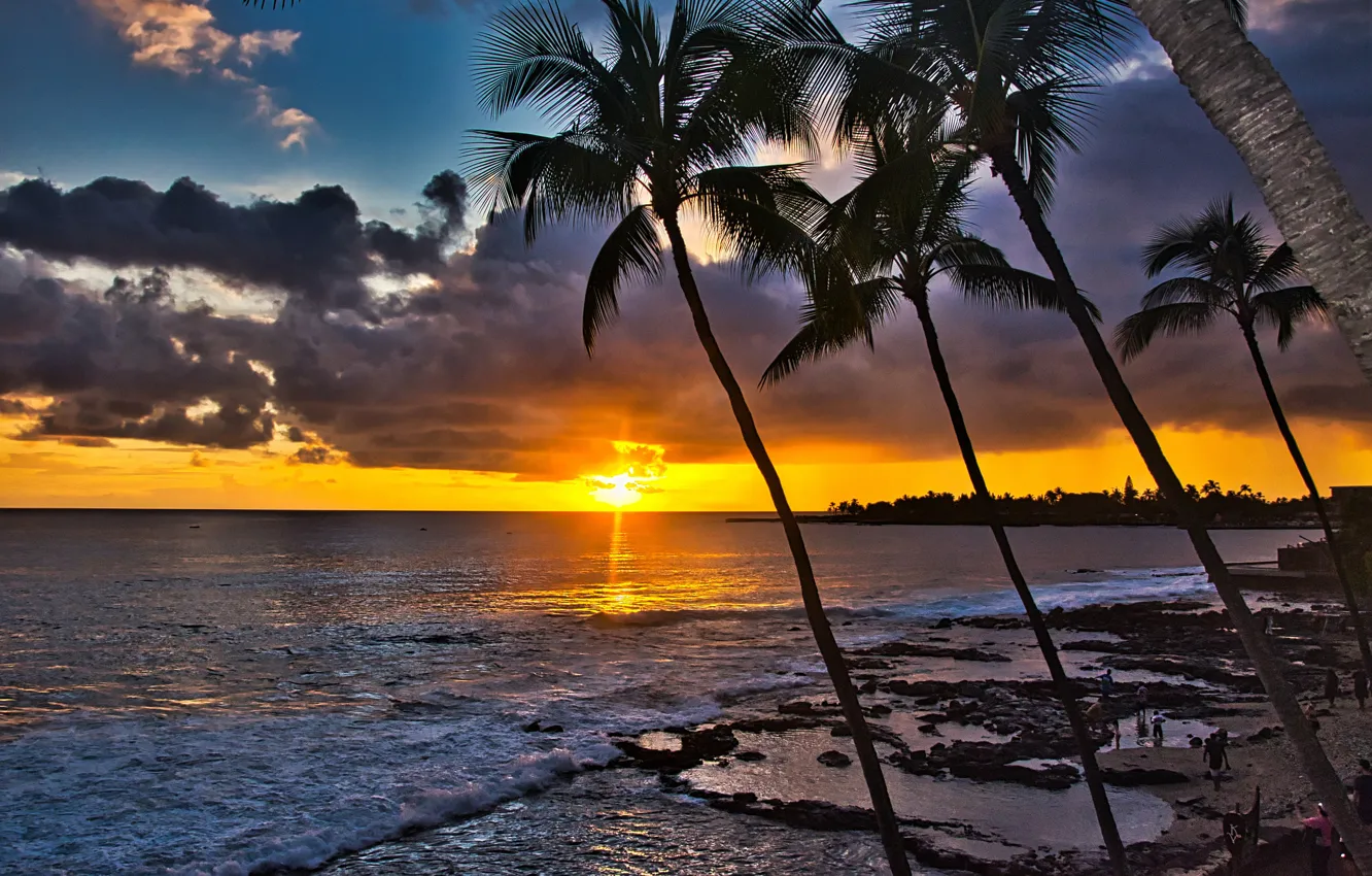 Фото обои закат, пальмы, океан, побережье, Гавайи, Pacific Ocean, Hawaii, Тихий океан