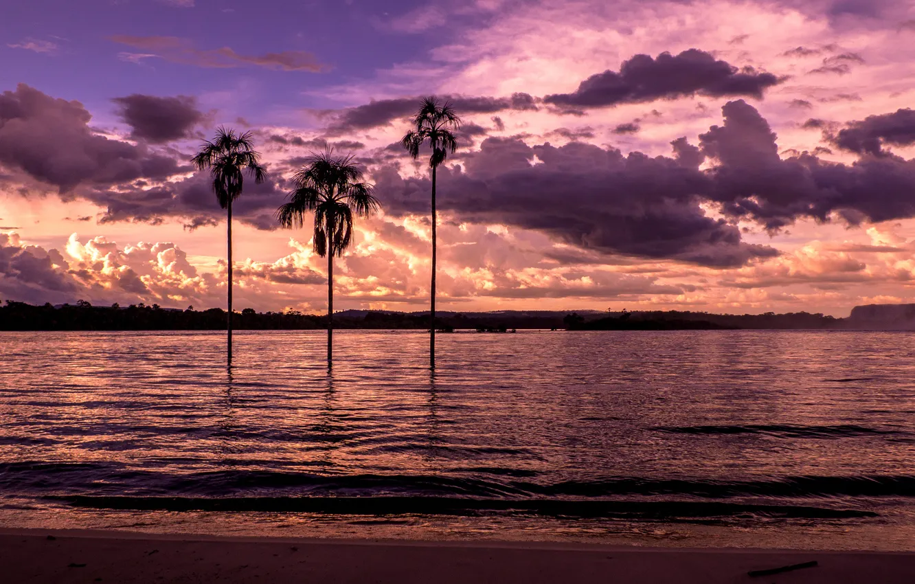 Фото обои пляж, закат, пальмы, залив