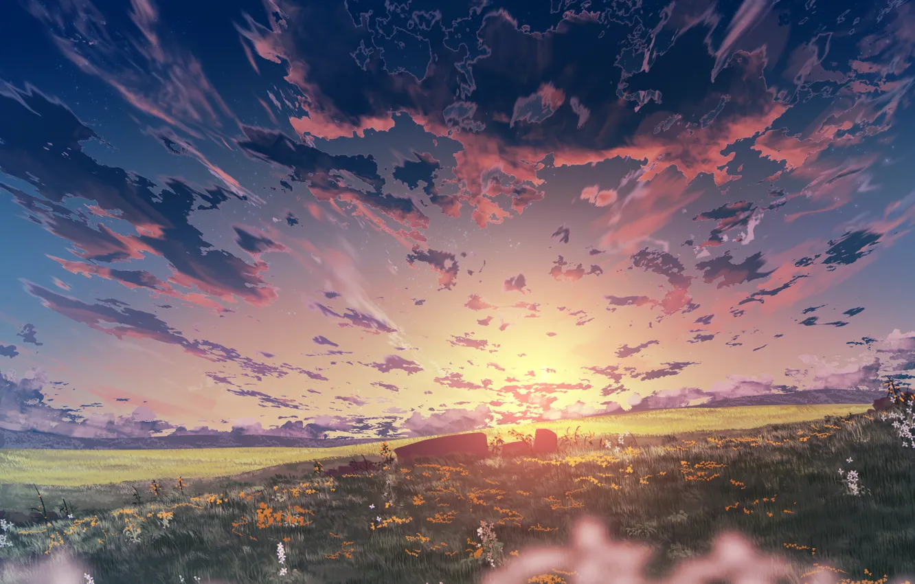 Фото обои поле, небо, закат, цветы, природа