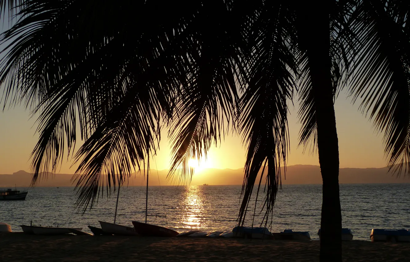 Фото обои пальмы, рассвет, лодки, раннее утро, sunrise on Lake Malawi