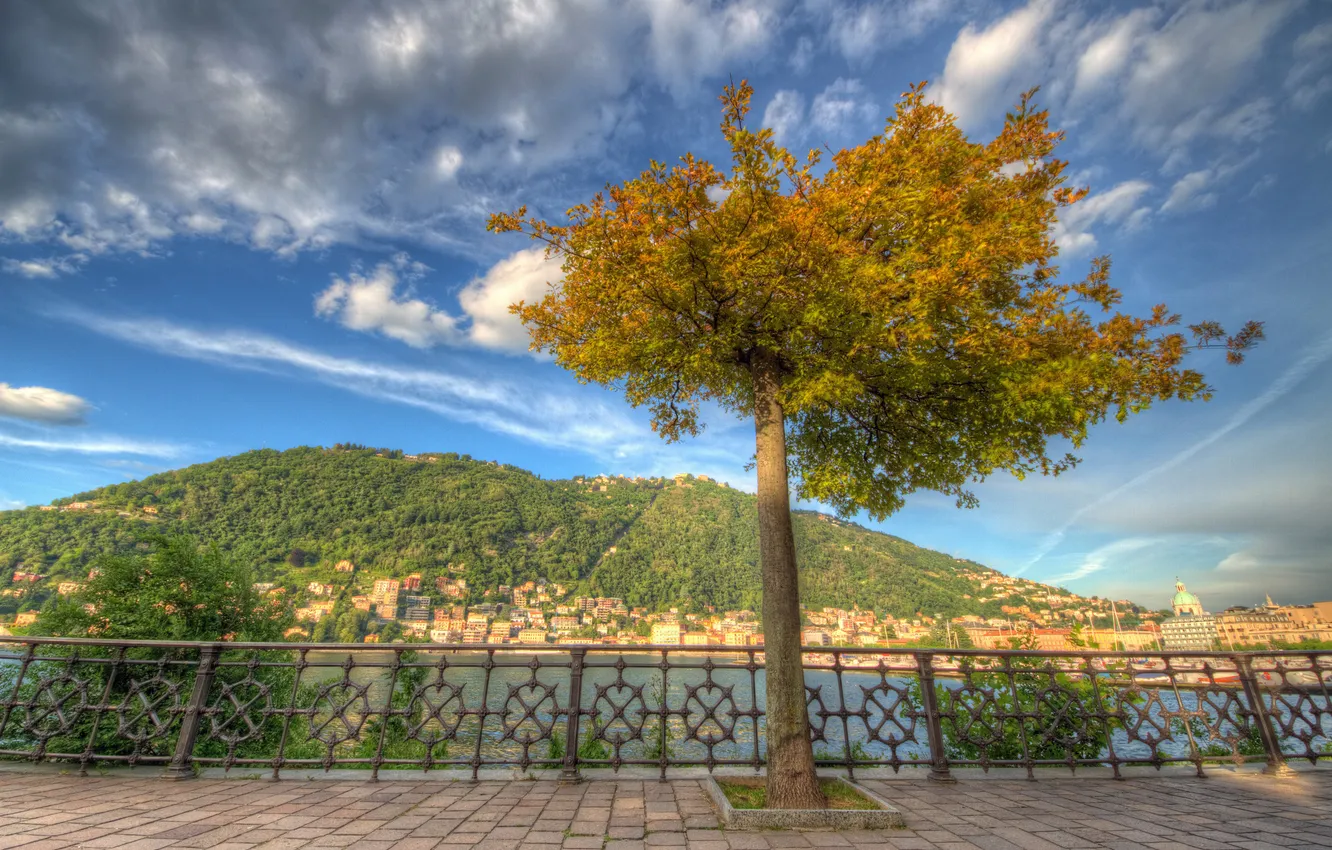 Фото обои дерево, Италия, набережная, Italy, озеро Комо, Ломбардия, Комо, Como