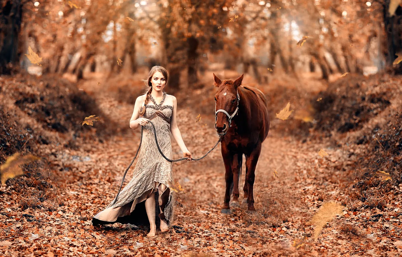 Фото обои осень, листья, девушка, лошадка, Fairy tale, Alessandro Di Cicco