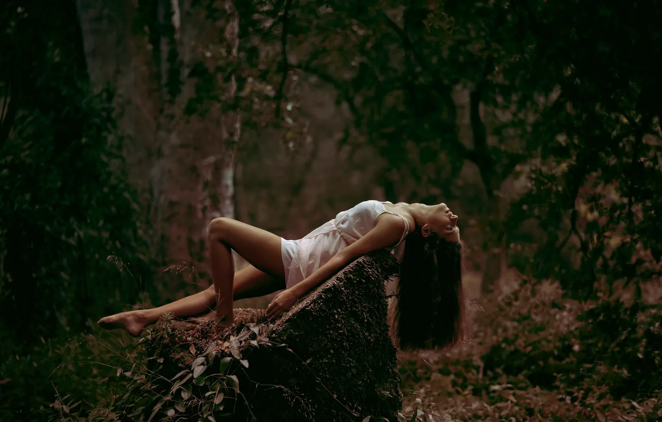 Фото обои лес, девушка, камень, Miriam