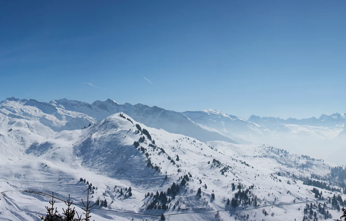 Фото обои лес, снег, горы, montblanc