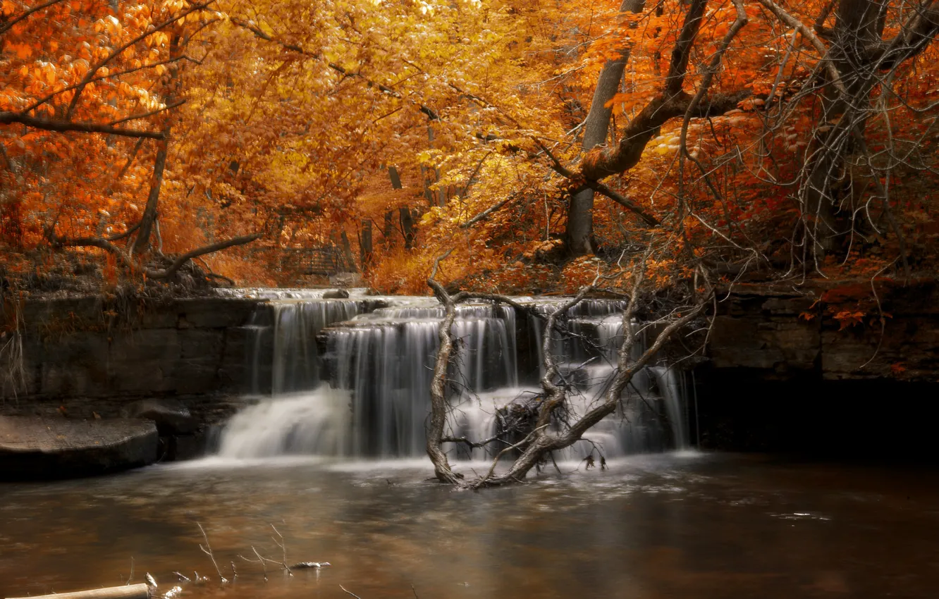 Фото обои осень, лес, река, водопад