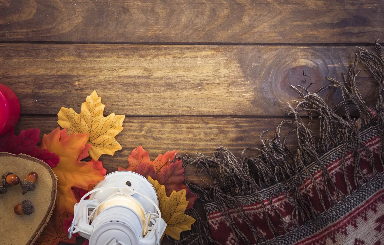 Фото обои осень, листья, дерево, colorful, шарф, фонарь, wood, желуди