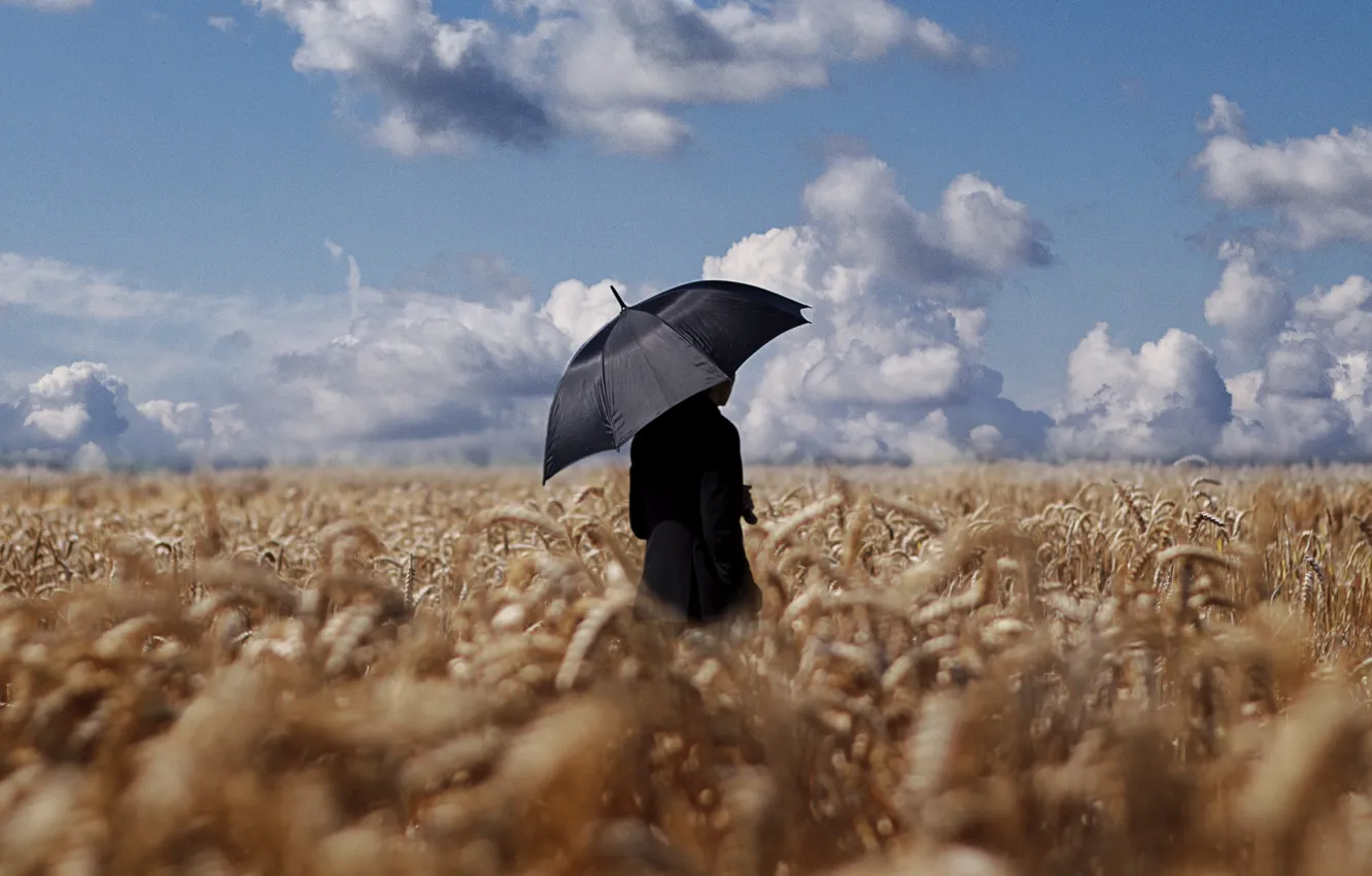 Фото обои поле, небо, зонтик, мужчина, пшеничное поле, горизонт облака