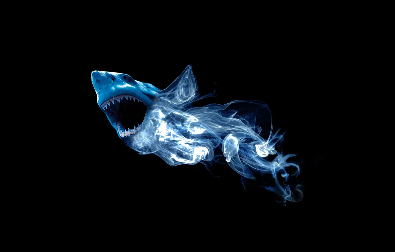 Фото обои абстракция, дым, акула
