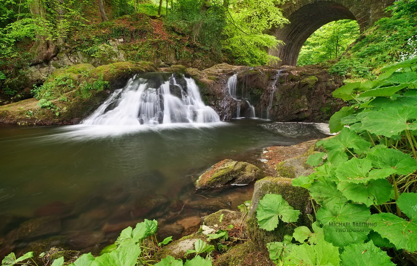 Фото обои зелень, лес, река, водопад, Шотландия, Michael Breitung