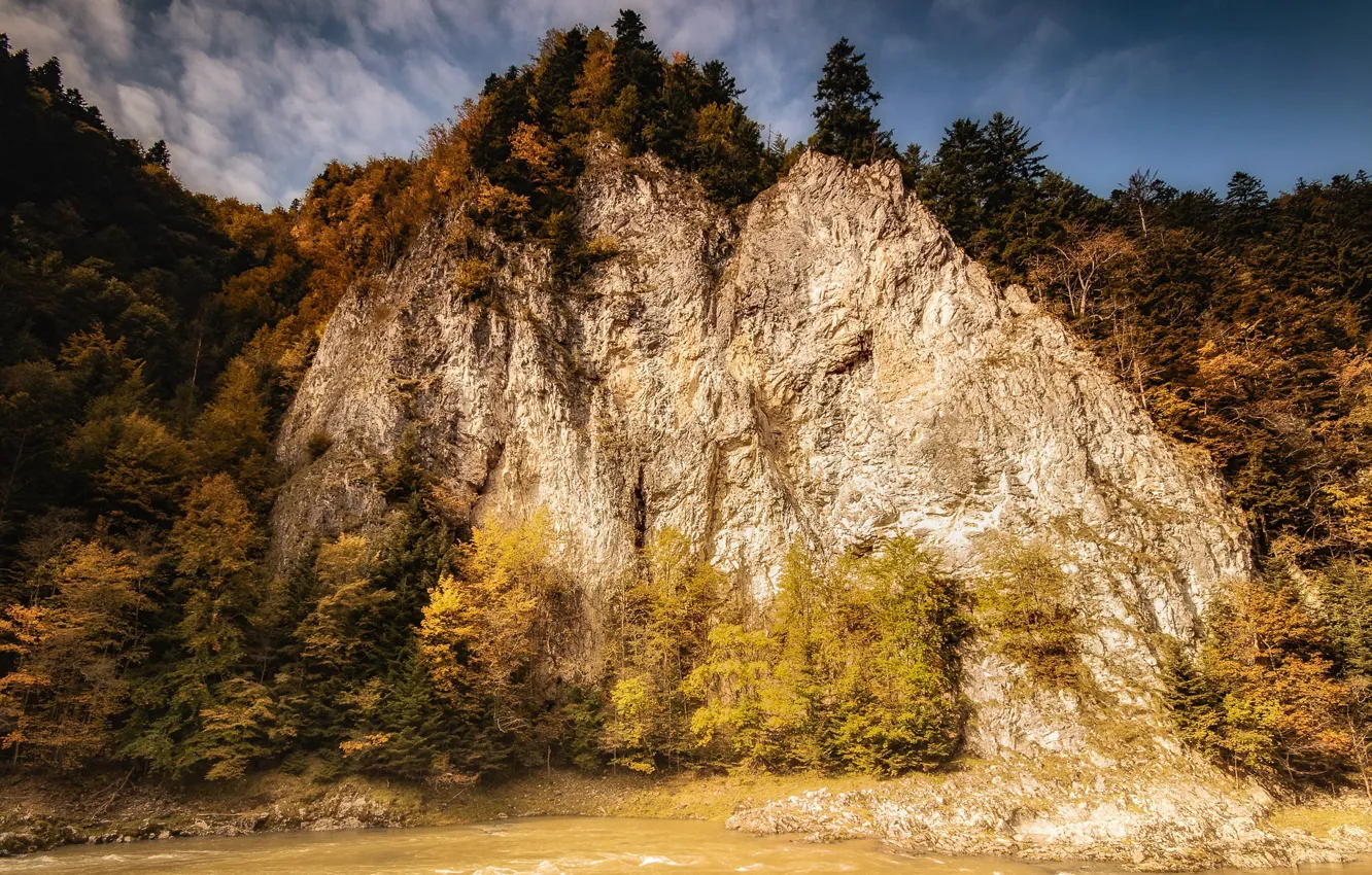 Фото обои осень, река, гора