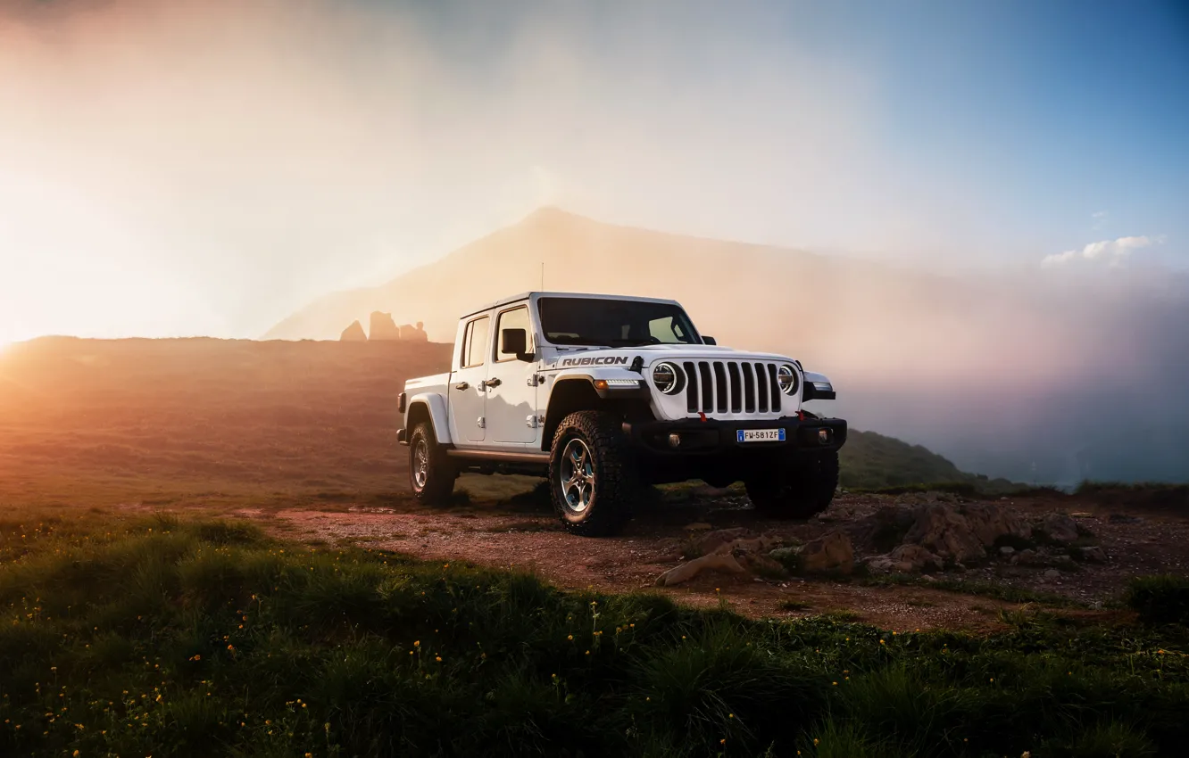 Фото обои белый, свет, растительность, внедорожник, пикап, Gladiator, 4x4, Jeep