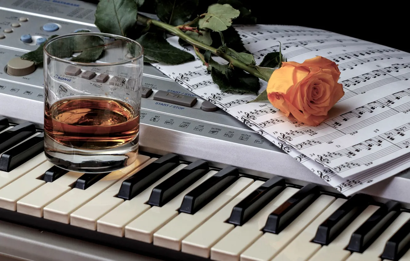 Фото обои стакан, ноты, роза, клавиши, виски