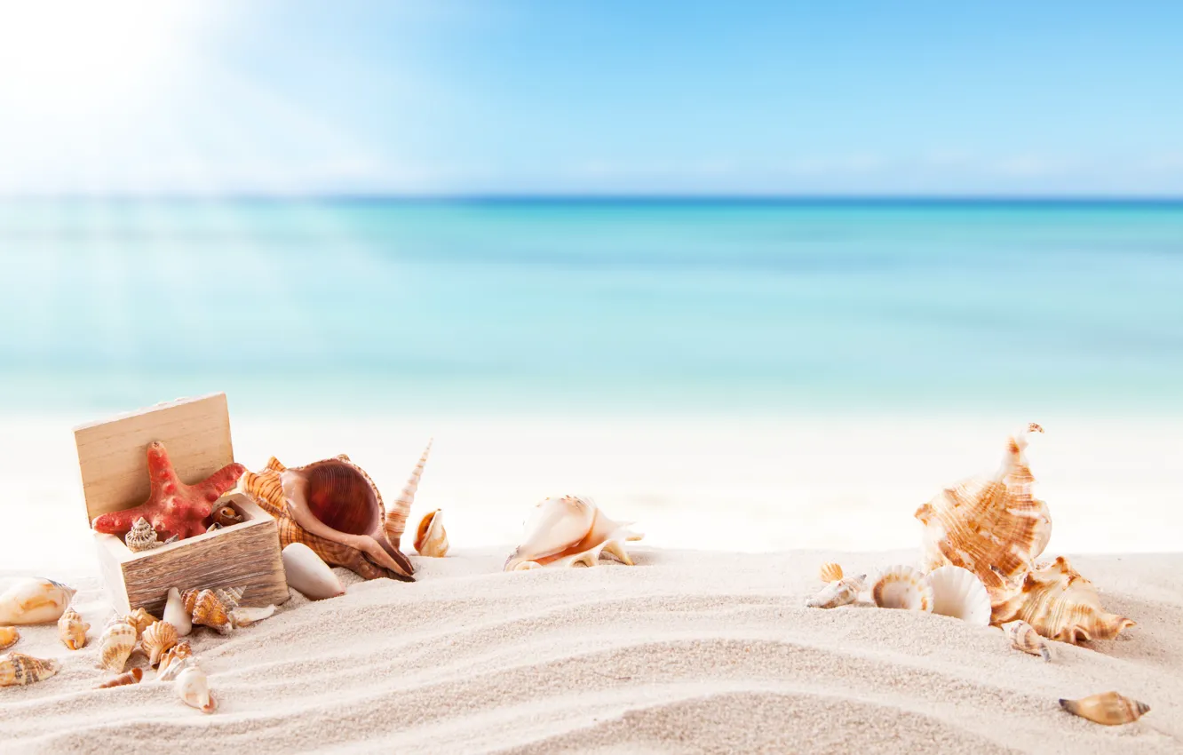 Фото обои песок, море, пляж, лето, солнце, ракушки, summer, beach