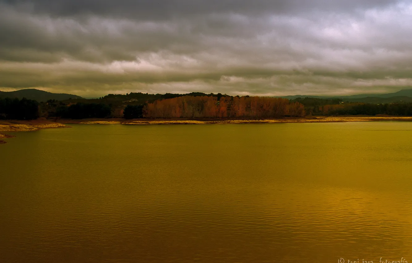 Фото обои лес, тучи, озеро, Toni Jara