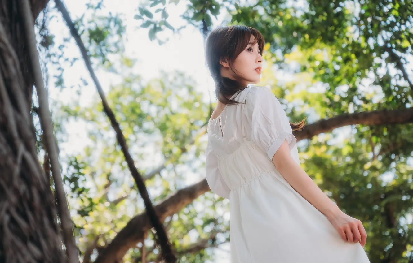 Фото обои лето, девушка, азиатка