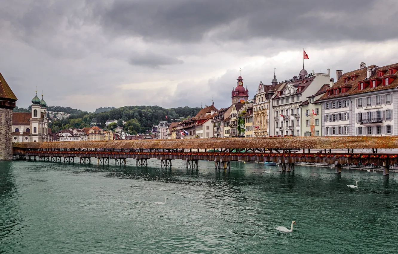 Фото обои мост, река, здания, башня, Швейцария, лебеди, Switzerland, Люцерн
