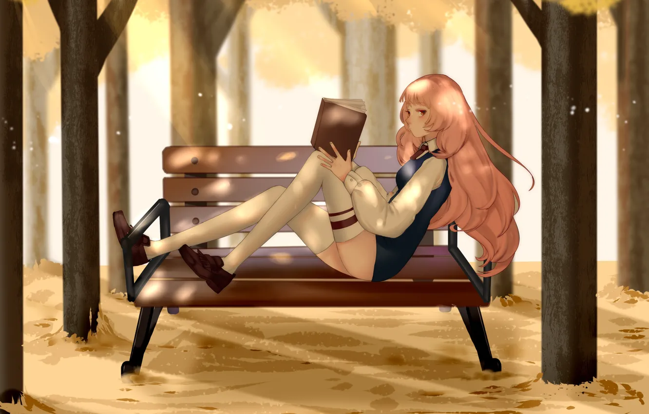 Фото обои девушка, скамейка, книга