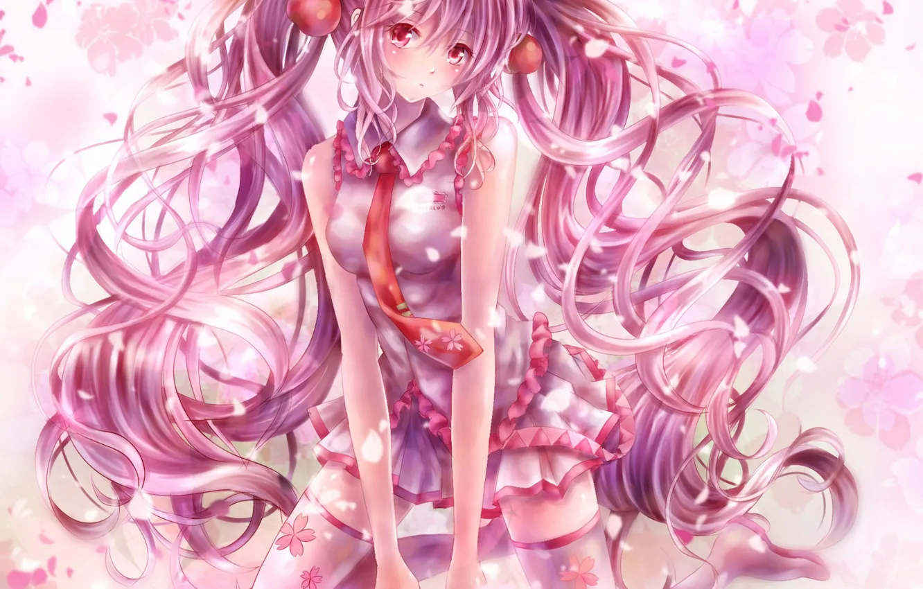 Фото обои весна, чулки, галстук, vocaloid, Hatsune Miku, вокалоид, оборки, розовые волосы