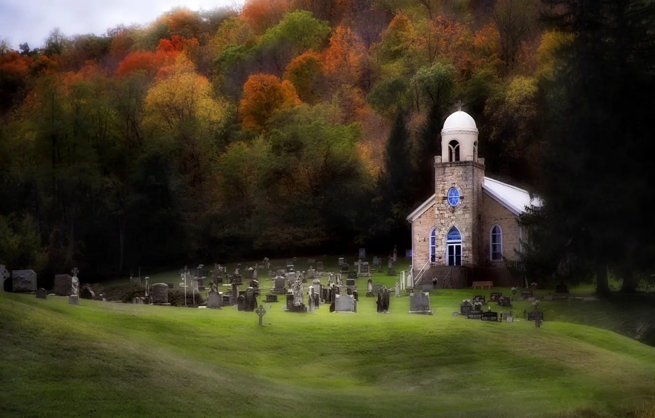 Фото обои поле, осень, лес, трава, деревья, могилы, листва, церковь