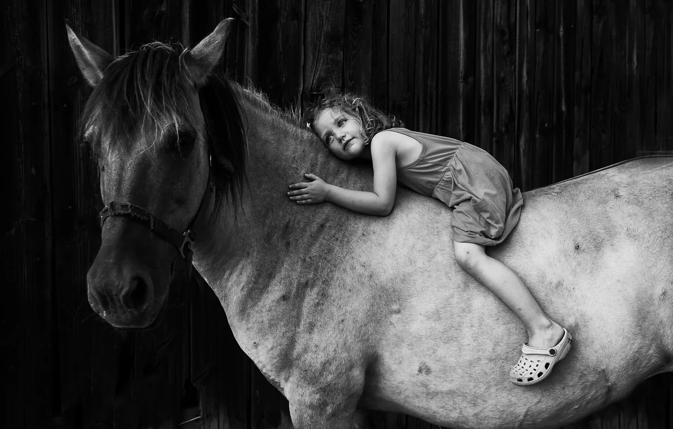 Фото обои фон, конь, девочка