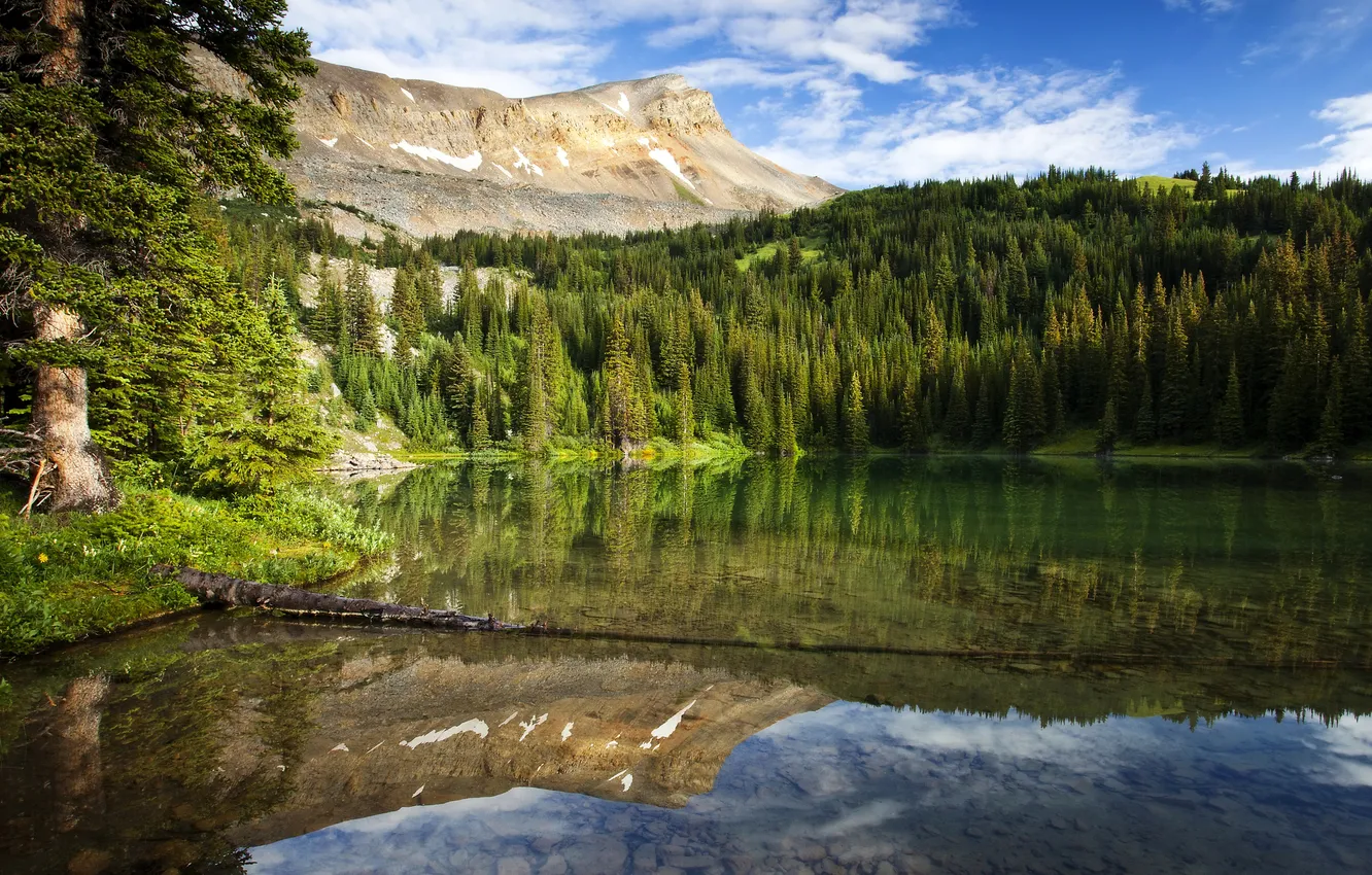 Фото обои лес, горы, озеро, отражение, Канада
