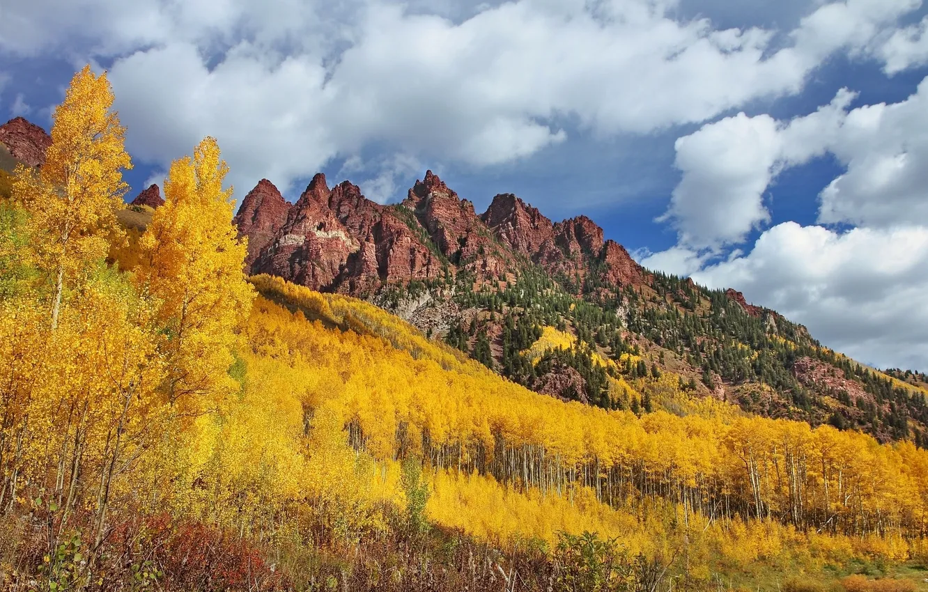 Фото обои осень, лес, деревья, горы, Колорадо, Colorado, Maroon Bells, Sievers Mountain