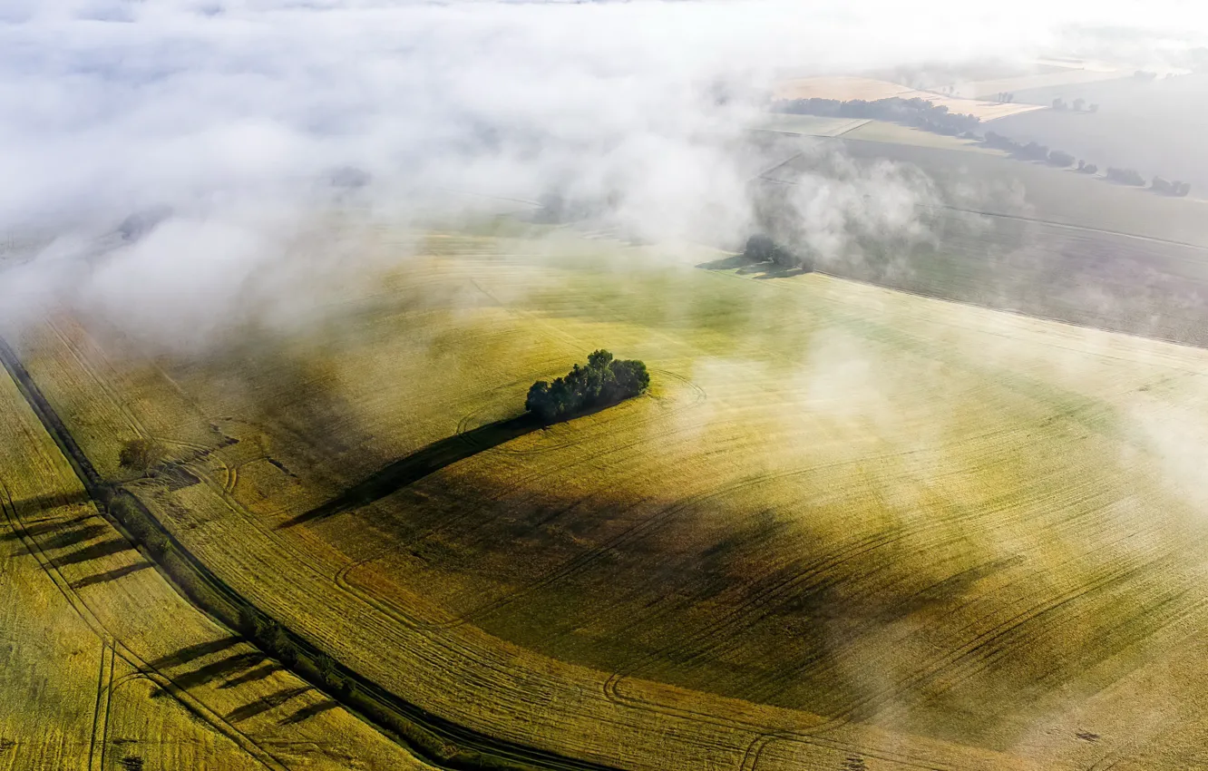 Фото обои поле, лето, туман