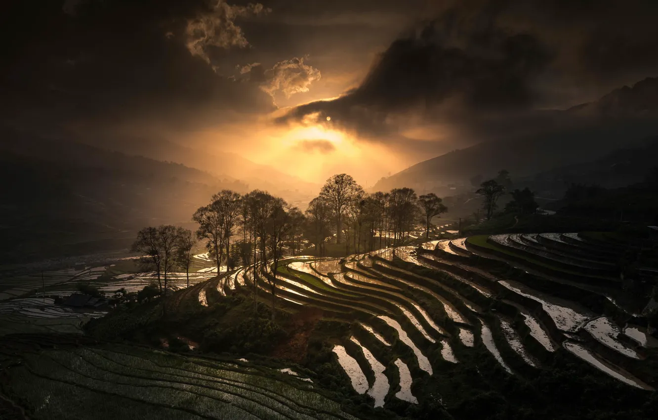 Фото обои Вьетнам, Sapa, Rice Terrace