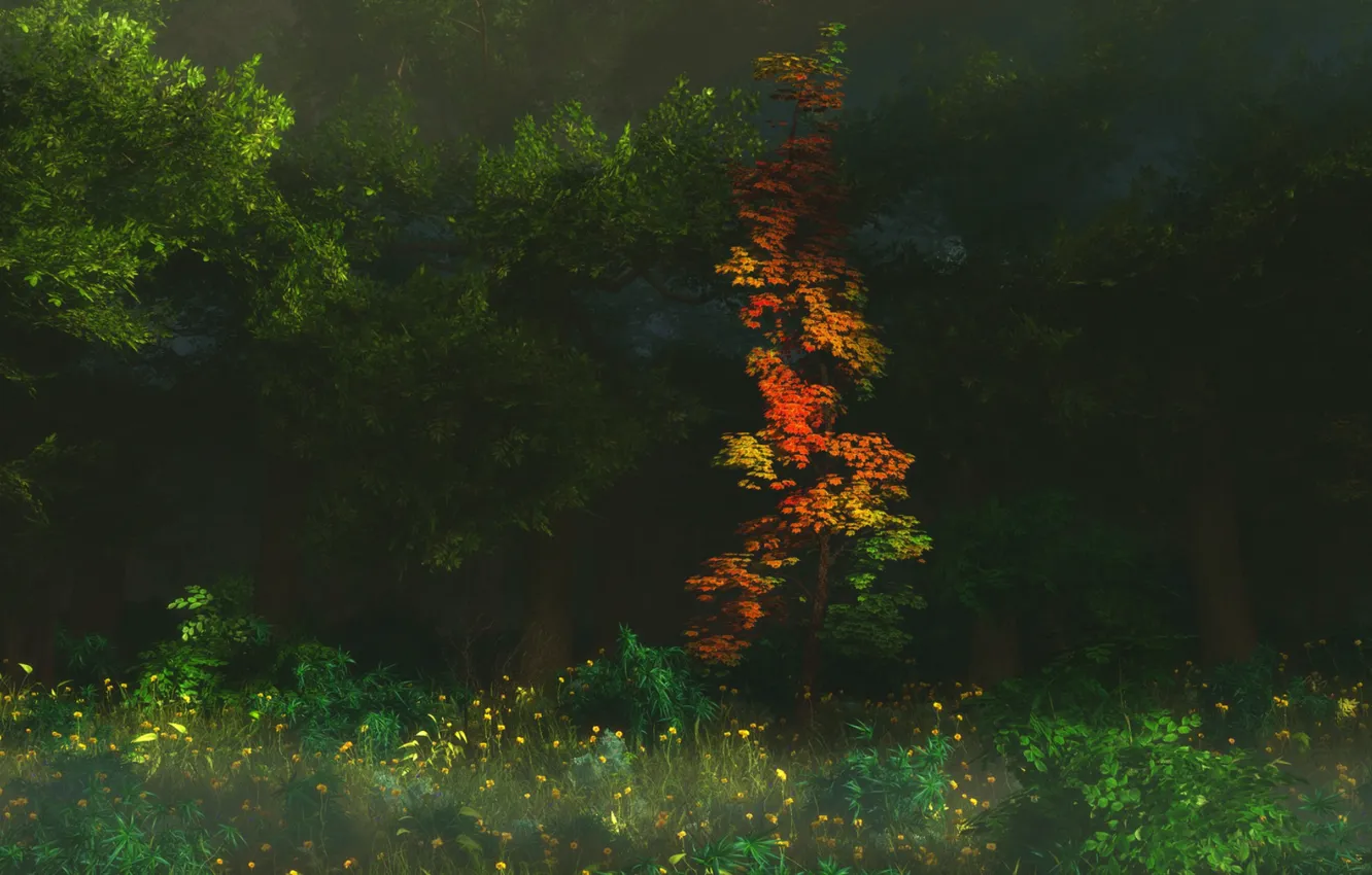 Фото обои осень, лес, листья, арт