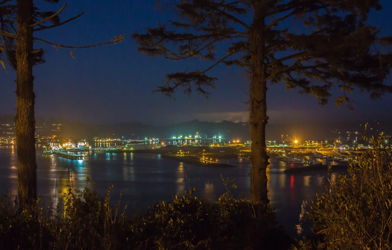 Фото обои ночь, city, огни, night, гавань, Harbor