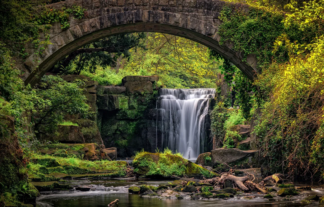 Фото обои лес, деревья, мост, камни, водопад, мох, England, Jesmond dean waterfall
