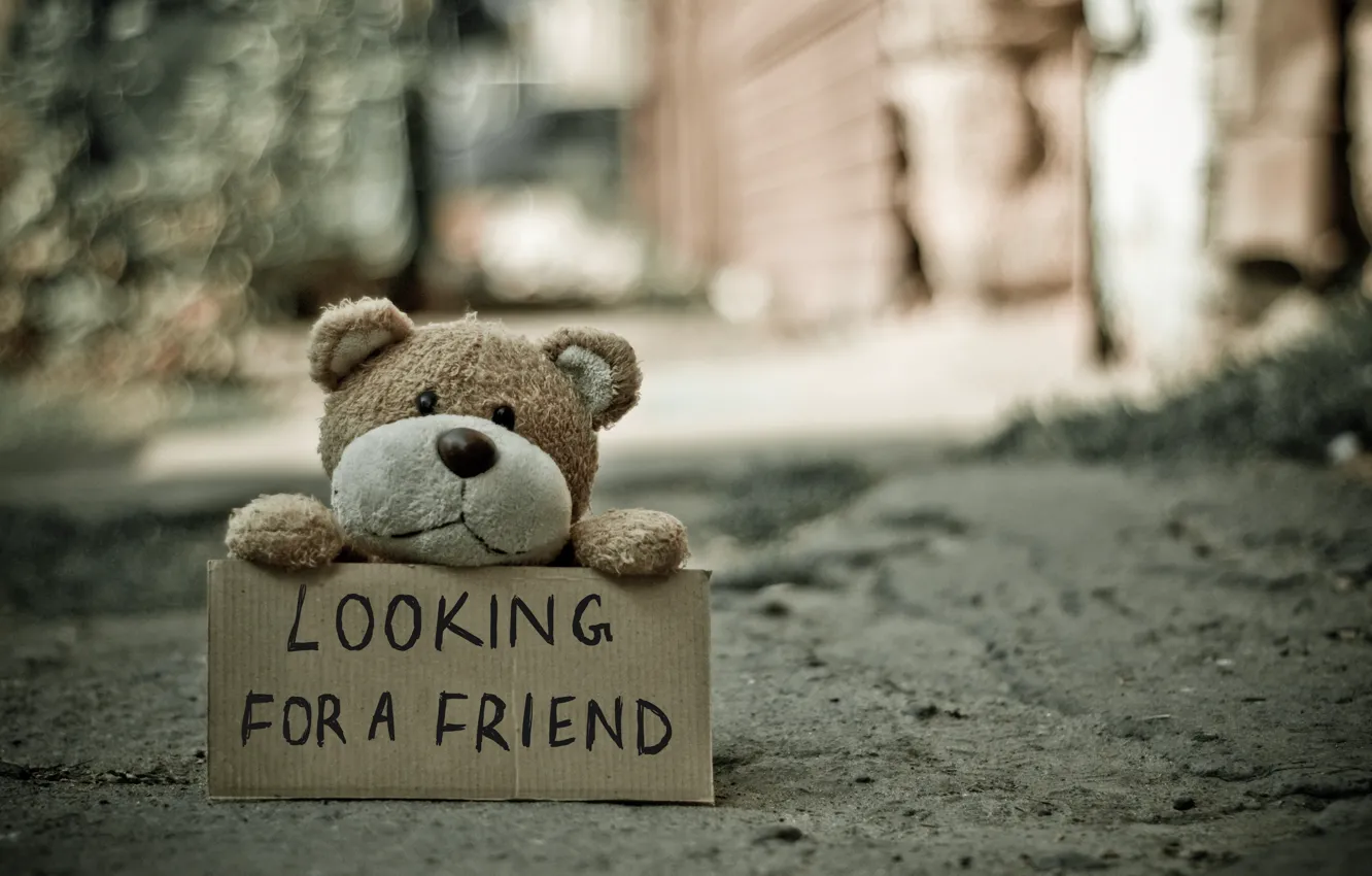 Фото обои toy, text, sign, mood, blur, bokeh, teddy bear, inscription