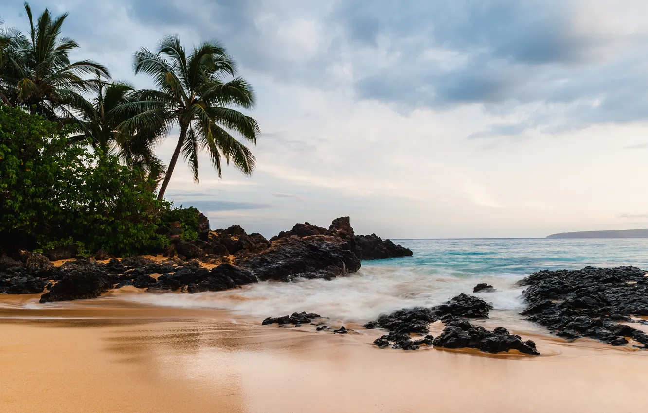 Фото обои Beach, Water, Sand, Ocean, Stones, Waves, Palm Tree