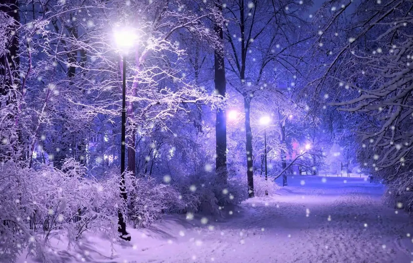Фото обои зима, лес, свет, снег, деревья, вечер, фонари, дорожка