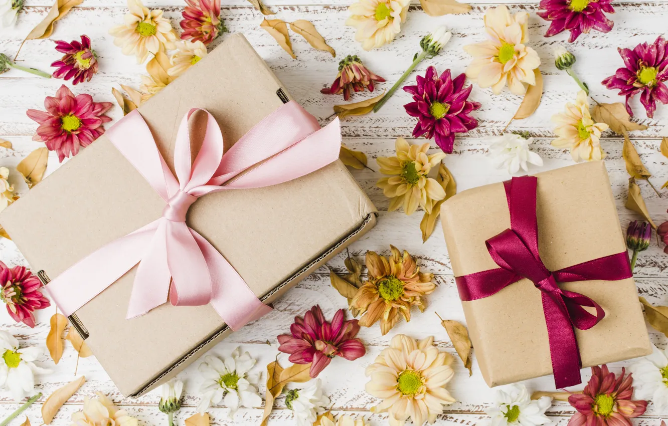 Фото обои цветы, подарок, colorful, хризантемы, flowers, gift box