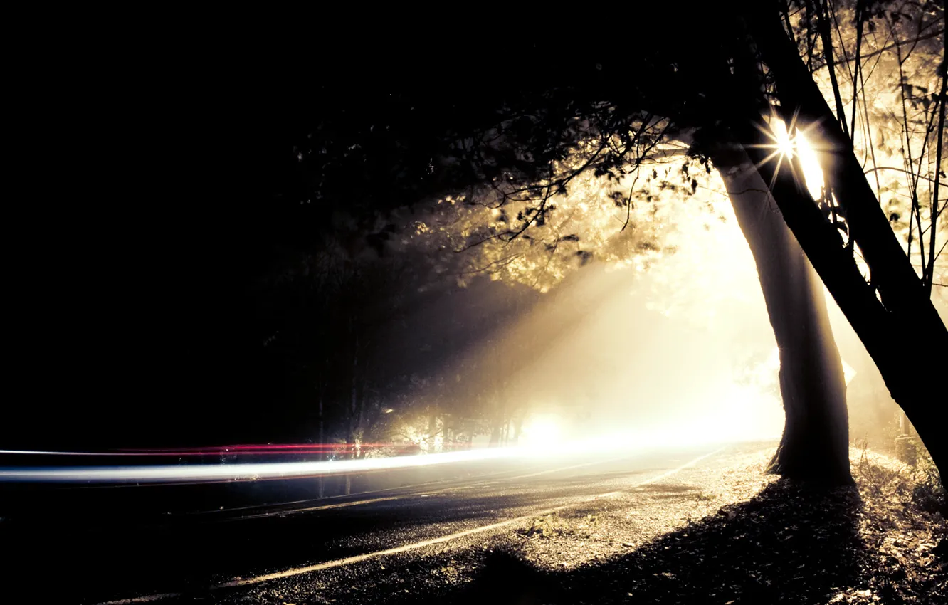 Фото обои дорога, свет, деревья, ночь