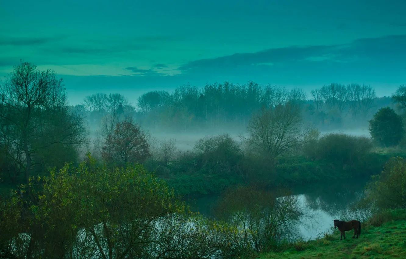 Фото обои небо, облака, деревья, туман, река, лошадь, вечер