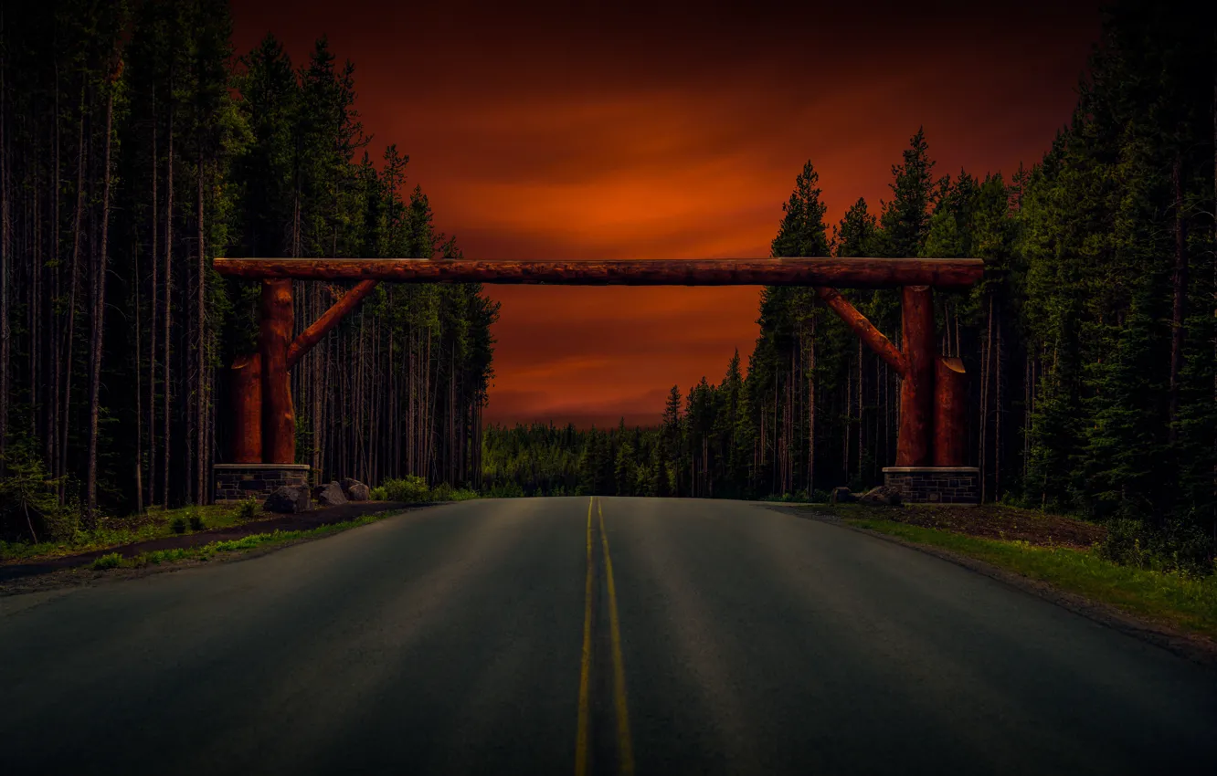 Фото обои дорога, лес, деревья, арка, брёвна