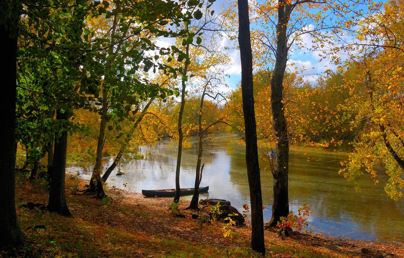 Фото обои осень, лес, небо, листья, деревья, пейзаж, река, лодка