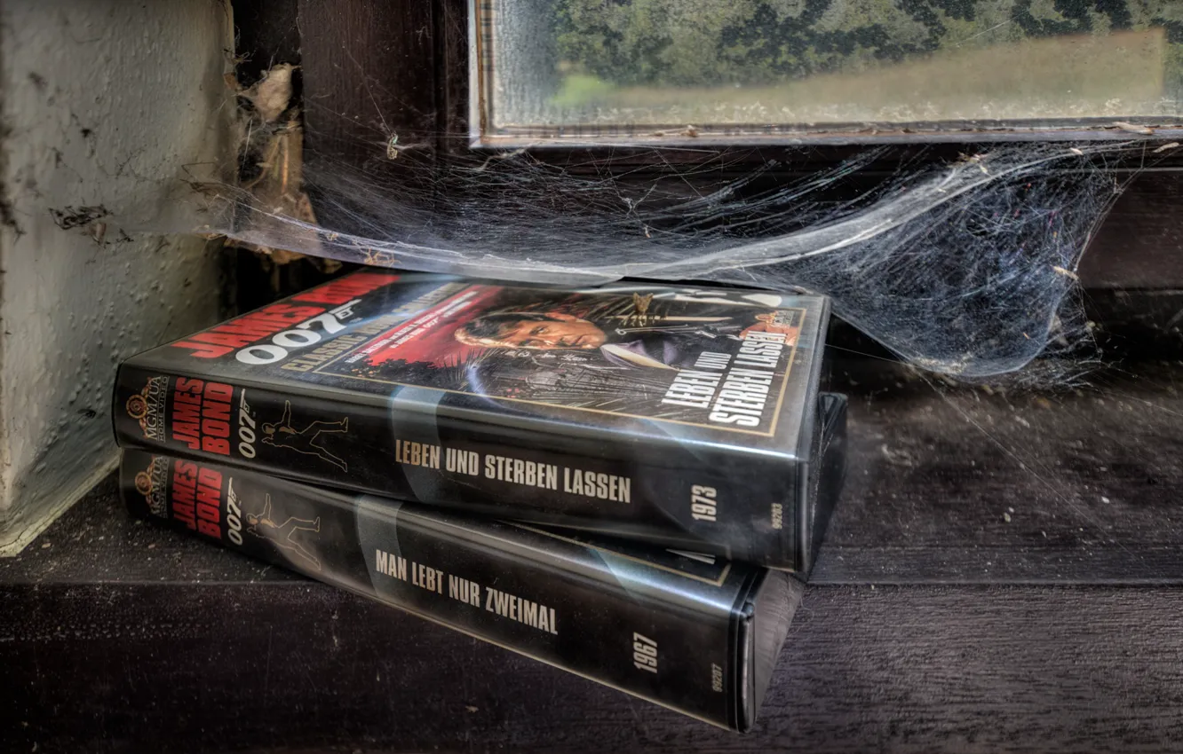 Фото обои книги, паутина, окно, 007 james bond