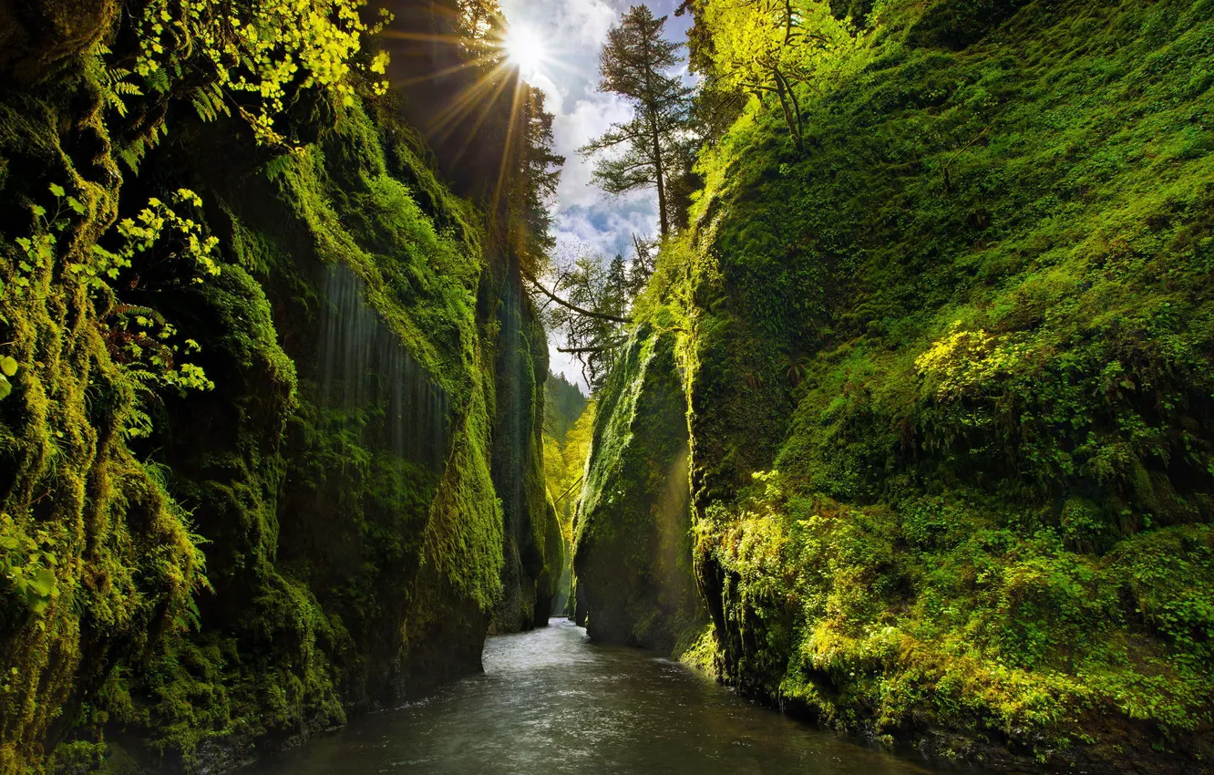 Фото обои зелень, небо, лучи, свет, деревья, река, скалы, склоны